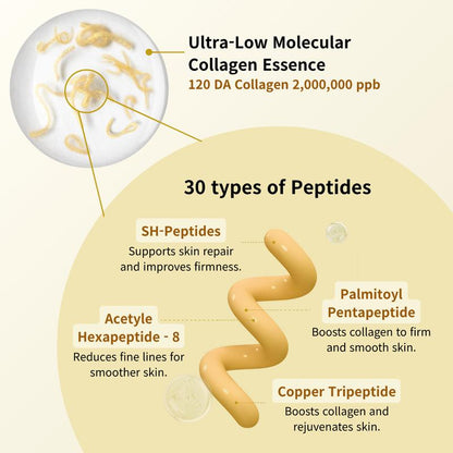 SUNGBOON Silk Peptide Serum